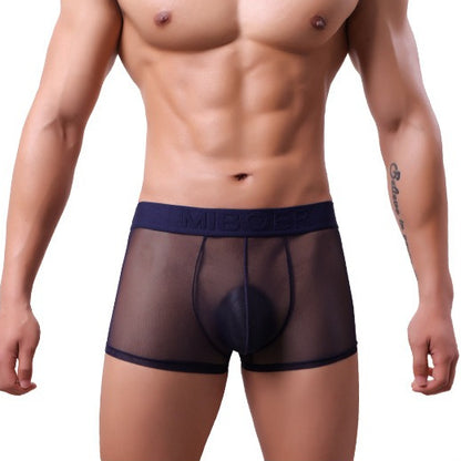 Men's Sheer Mesh Boxer Briefs - 20D See-Through Low Rise Quick-Dry Underwear