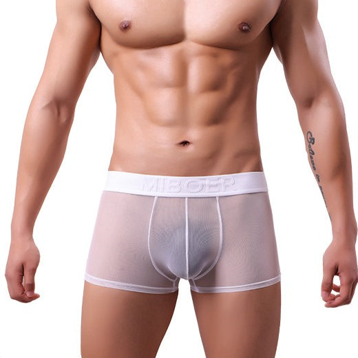 Men's Sheer Mesh Boxer Briefs - 20D See-Through Low Rise Quick-Dry Underwear