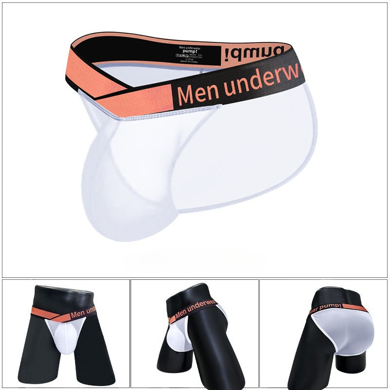 Men's V-Waist Briefs - High Cut Sheer Low Rise Trendy Underwear