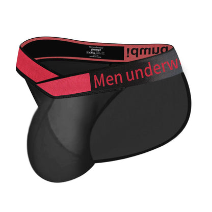 Men's V-Waist Briefs - High Cut Sheer Low Rise Trendy Underwear