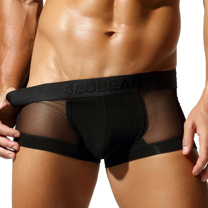 Men's Sheer Mesh Briefs - Low Rise Breathable Enhancing Underwear