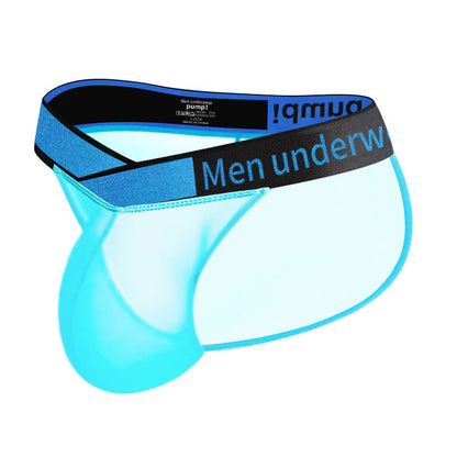 Men's V-Waist Briefs - High Cut Sheer Low Rise Trendy Underwear