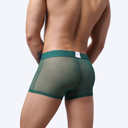 Men's Sheer Mesh Boxer Briefs - 20D See-Through Low Rise Quick-Dry Underwear