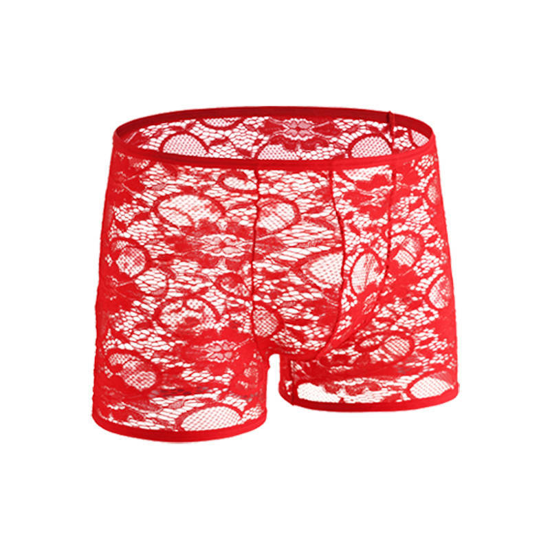 Men's Sheer Lace Boxer Briefs - Sexy Semi-Transparent Underwear