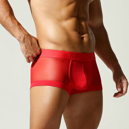 Men's Sheer Mesh Briefs - Low Rise Breathable Enhancing Underwear