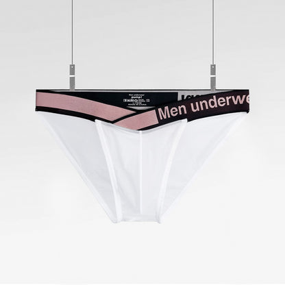 Men's V-Waist Briefs - High Cut Sheer Low Rise Trendy Underwear