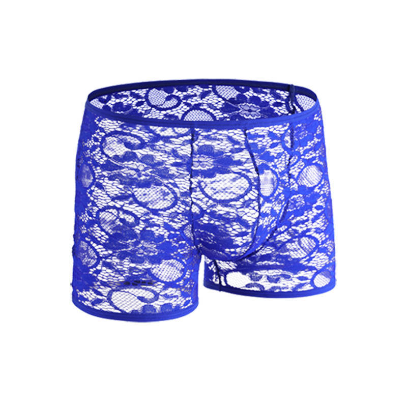 Men's Sheer Lace Boxer Briefs - Sexy Semi-Transparent Underwear