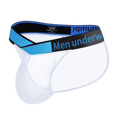 Men's V-Waist Briefs - High Cut Sheer Low Rise Trendy Underwear