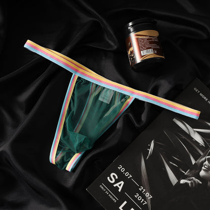 Ultra Thin 20D Sheer Rainbow Mesh Low Rise Briefs