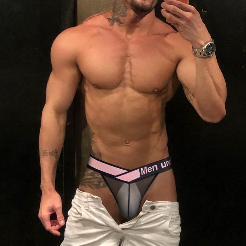 Men's V-Waist Briefs - High Cut Sheer Low Rise Trendy Underwear