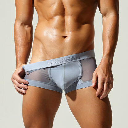Men's Sheer Mesh Briefs - Low Rise Breathable Enhancing Underwear