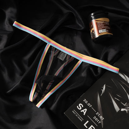 Ultra Thin 20D Sheer Rainbow Mesh Low Rise Briefs