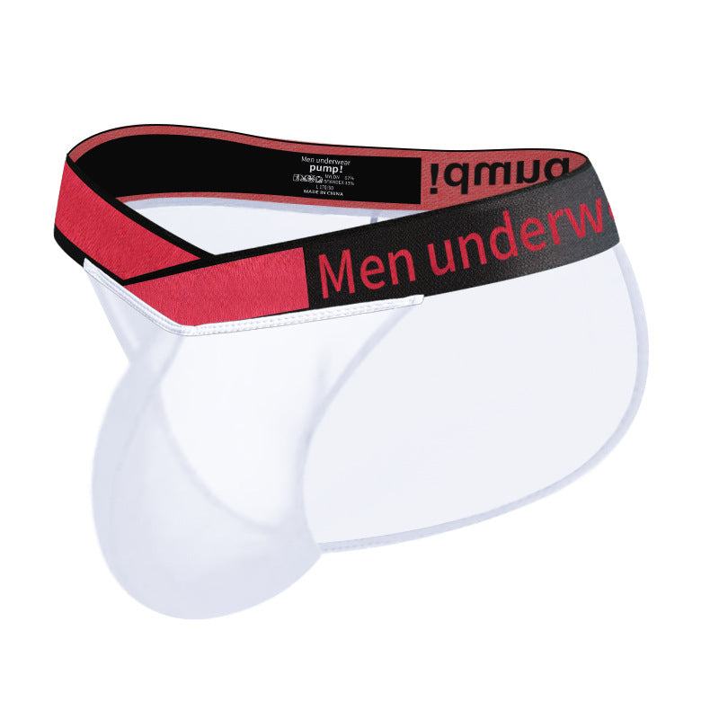 Men's V-Waist Briefs - High Cut Sheer Low Rise Trendy Underwear