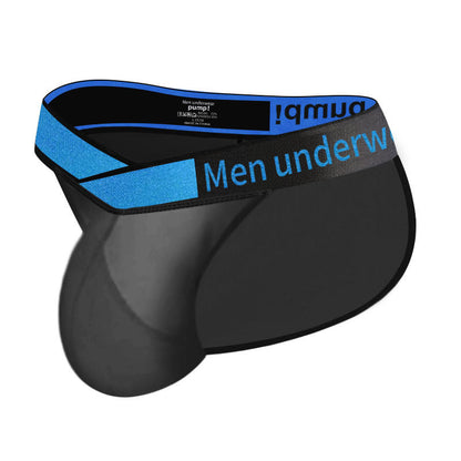 Men's V-Waist Briefs - High Cut Sheer Low Rise Trendy Underwear