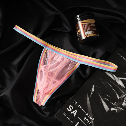 Ultra Thin 20D Sheer Rainbow Mesh Low Rise Briefs