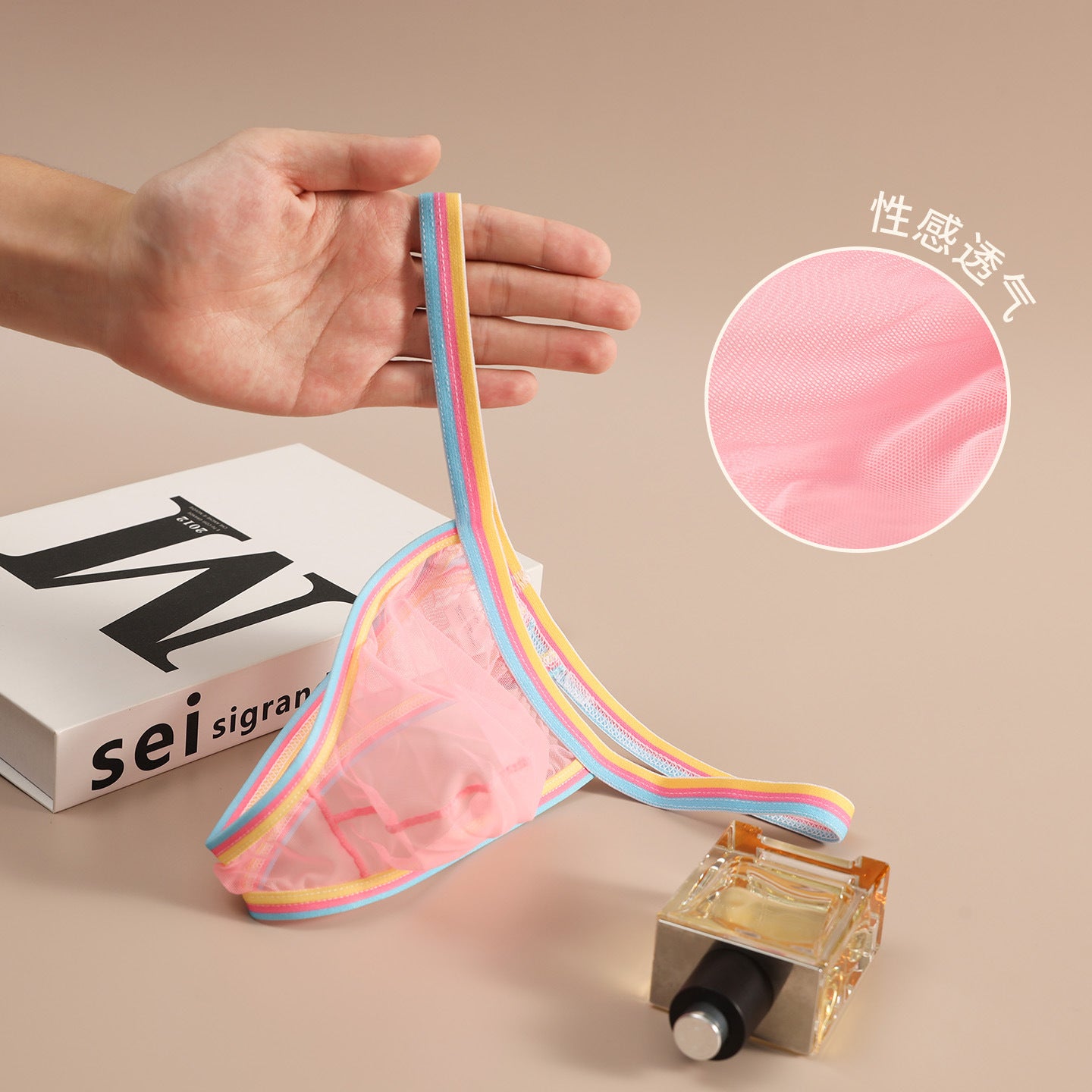 Ultra Thin 20D Sheer Rainbow Mesh Low Rise Briefs