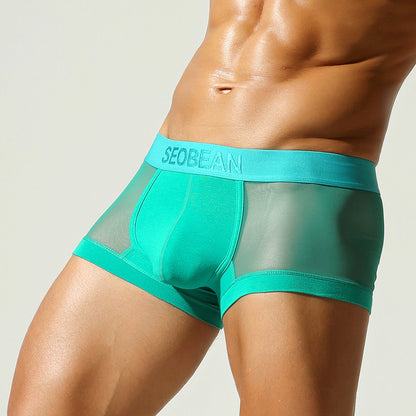 Men's Sheer Mesh Briefs - Low Rise Breathable Enhancing Underwear