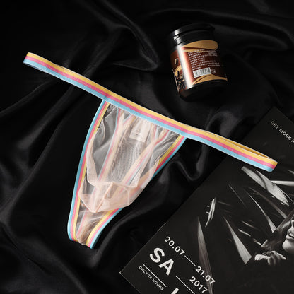 Ultra Thin 20D Sheer Rainbow Mesh Low Rise Briefs