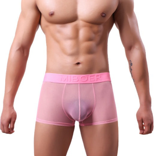 Men's Sheer Mesh Boxer Briefs - 20D See-Through Low Rise Quick-Dry Underwear