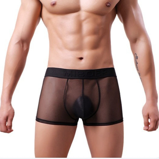 Men's Sheer Mesh Boxer Briefs - 20D See-Through Low Rise Quick-Dry Underwear