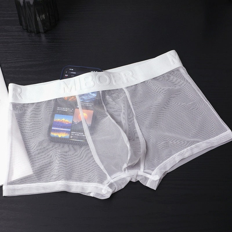 Men's Sheer Mesh Boxer Briefs - 20D See-Through Low Rise Quick-Dry Underwear