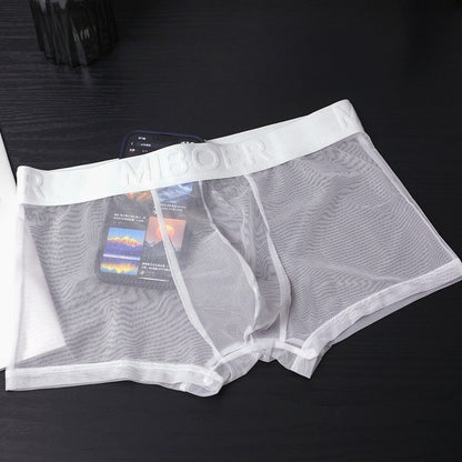 Men's Sheer Mesh Boxer Briefs - 20D See-Through Low Rise Quick-Dry Underwear