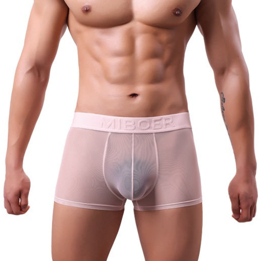 Men's Sheer Mesh Boxer Briefs - 20D See-Through Low Rise Quick-Dry Underwear